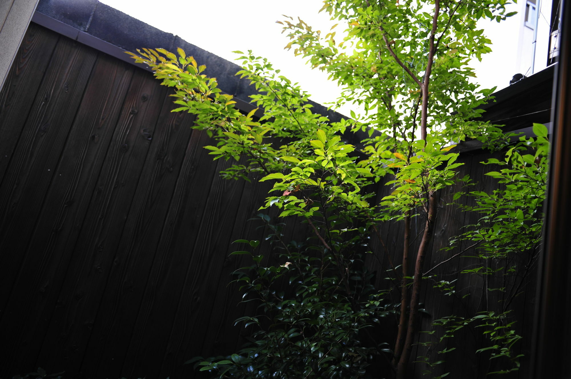 Le Machiya Daikokucho Villa Kyoto Exterior photo